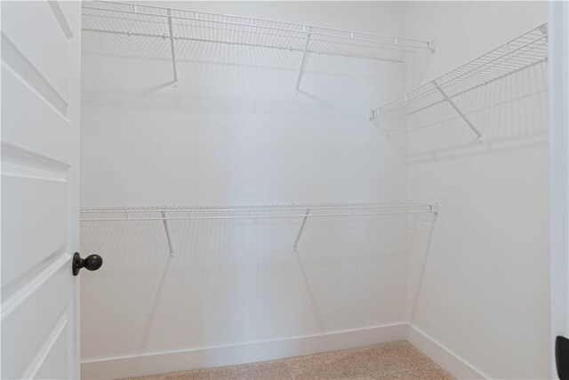 13 Crossing Ct E, Valley, AL 36854 - view of walk in closet