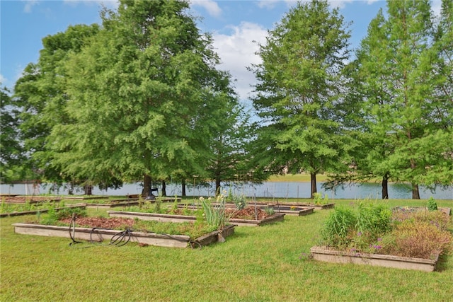 surrounding community featuring a yard and a garden