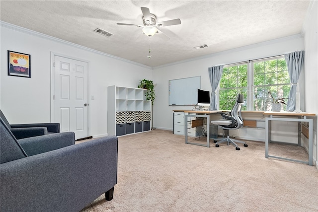 carpeted office with ceiling fan, ornamental molding, and a textured ceiling