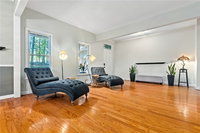 living area featuring light hardwood / wood-style flooring