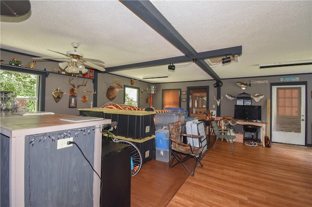 kitchen with a textured ceiling, light hardwood / wood-style flooring, and plenty of natural light