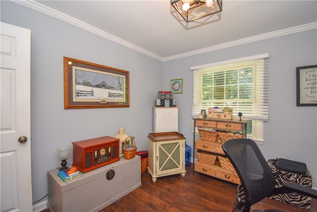 office space featuring dark hardwood / wood-style flooring and ornamental molding