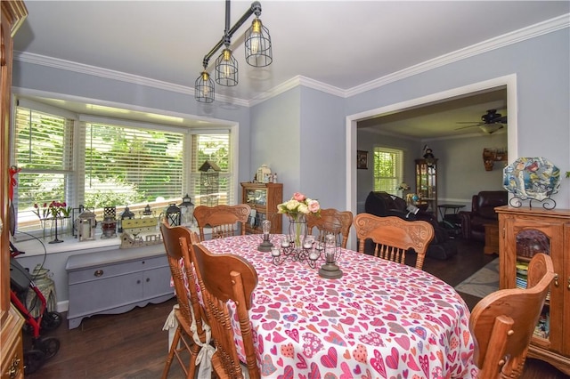 dining space with ceiling fan, crown molding, and dark hardwood / wood-style floors