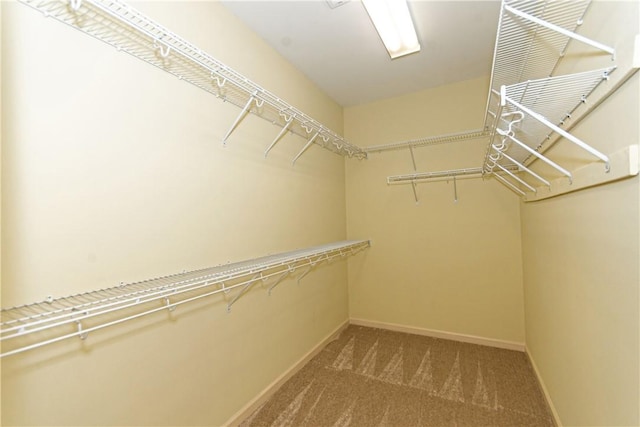 walk in closet with carpet