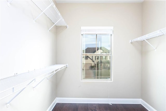 167 Vinci Way, Auburn, AL 36830 - walk in closet with dark wood-style floors