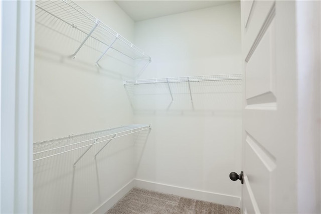 spacious closet featuring light carpet
