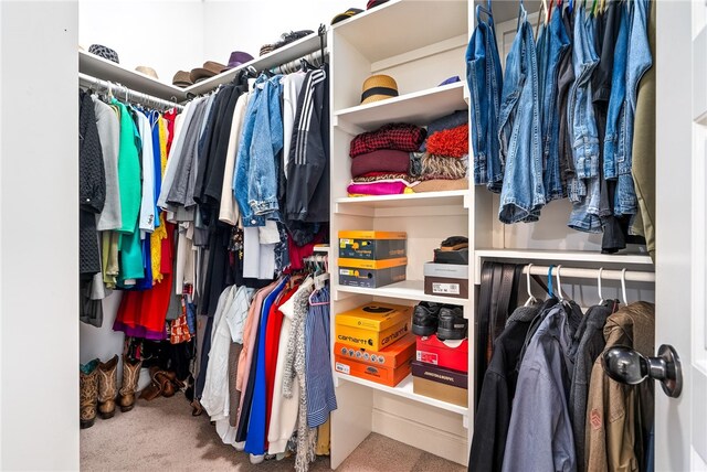 4164 Creekview Ct, Auburn, AL 36832 - spacious closet with carpet