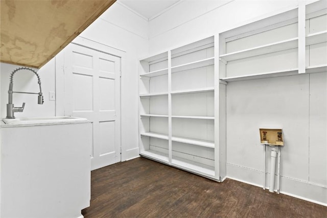 spacious closet with sink and dark hardwood / wood-style floors