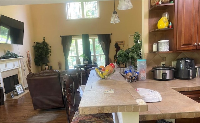 dining area with dark hardwood / wood-style flooring