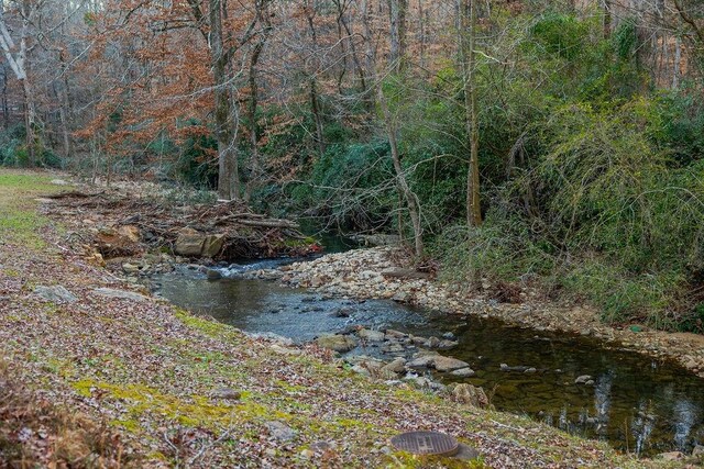 255 Hedgerow Cir, Auburn, AL 36830 - water view featuring a forest
