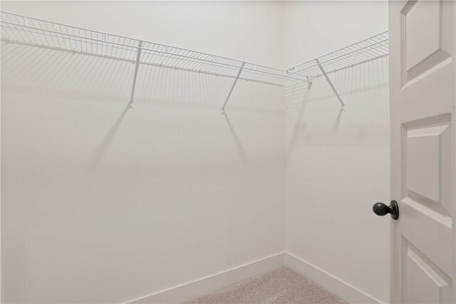 03242 Bradley Ln, Auburn, AL 36830 - spacious closet with light colored carpet