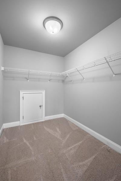 spacious closet featuring carpet floors