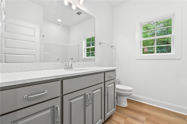 bathroom featuring hardwood / wood-style floors, vanity, and toilet