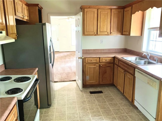 kitchen with ceiling fan, sink, exhaust hood, and white appliances