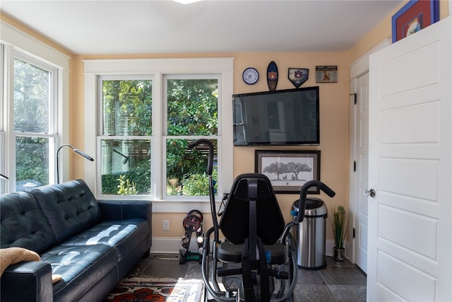 exercise room featuring a healthy amount of sunlight