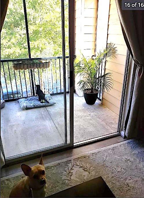 447 W Longleaf Dr Unit 101, Auburn, AL 36832 - view of doorway