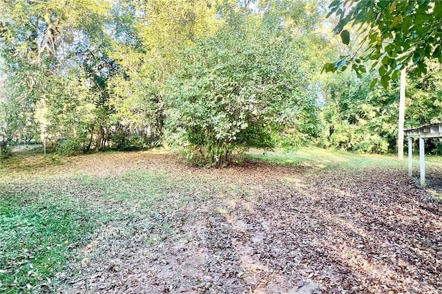 214 1st St SE, Lafayette, AL 36862 - photo 34
