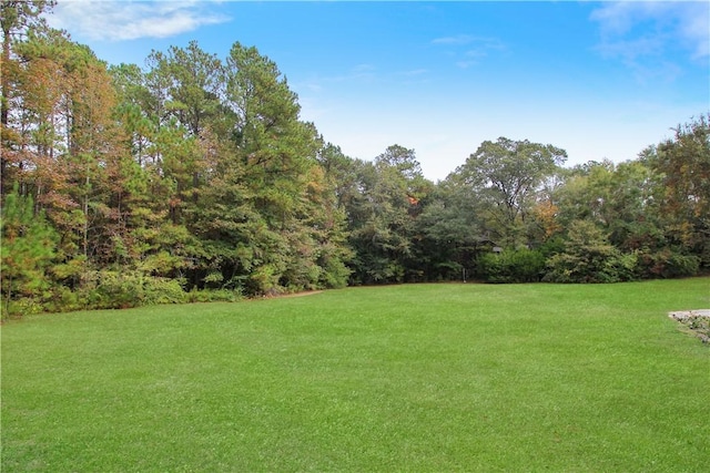8429 Society Hill Rd, Auburn, AL 36830 - photo 13