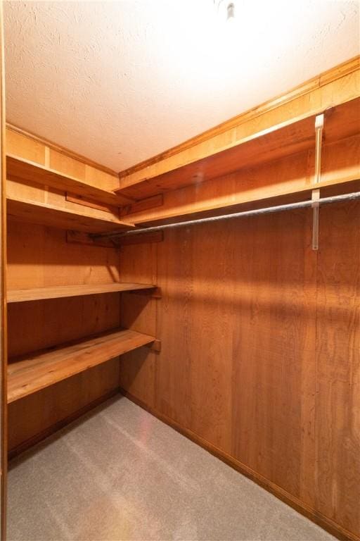 spacious closet featuring light carpet