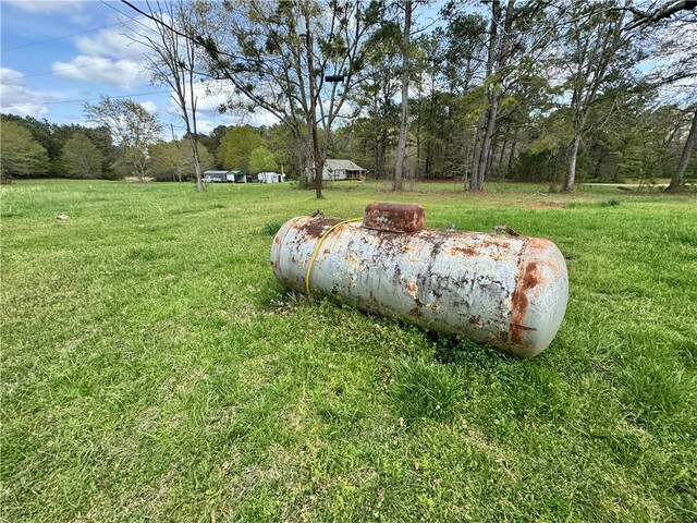 4380 County Road 62, Lafayette, AL 36862 - view of yard