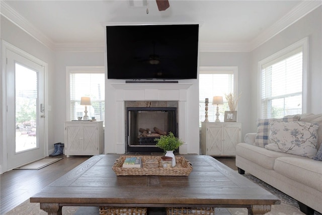 914 E Towne Lake Cir, Opelika, AL 36804 - living room with ceiling fan, wood finished floors, a fireplace, and crown molding