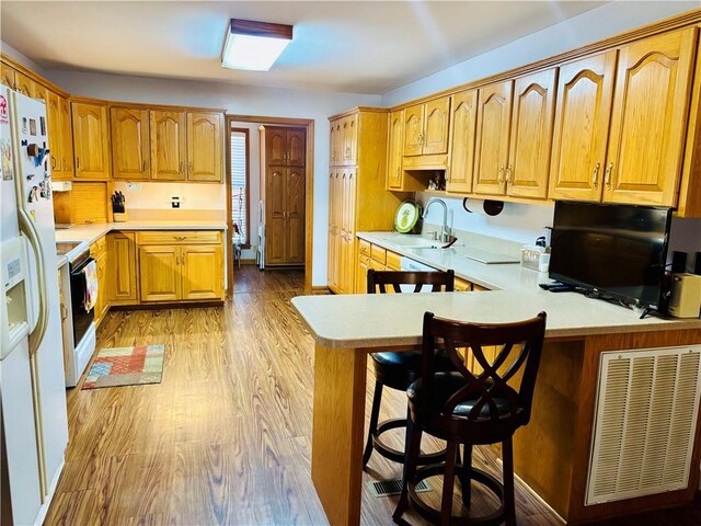 1016 County Road 515, Lanett, AL 36863 - kitchen with a sink, light countertops, light wood-style flooring, white appliances, and a peninsula