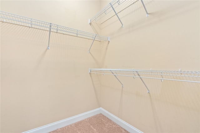 walk in closet featuring carpet floors