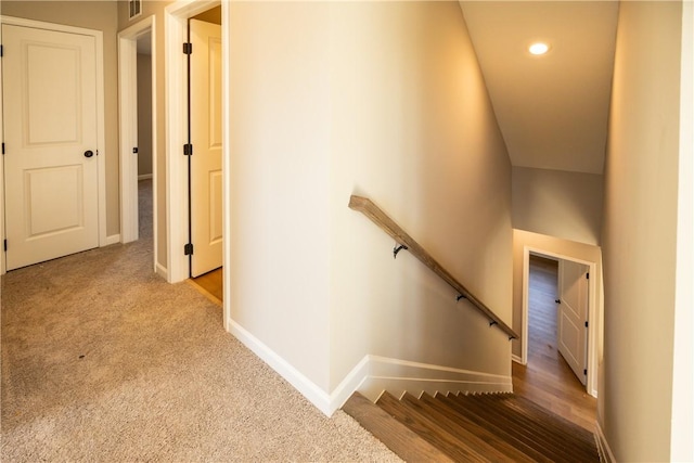 stairway with carpet flooring