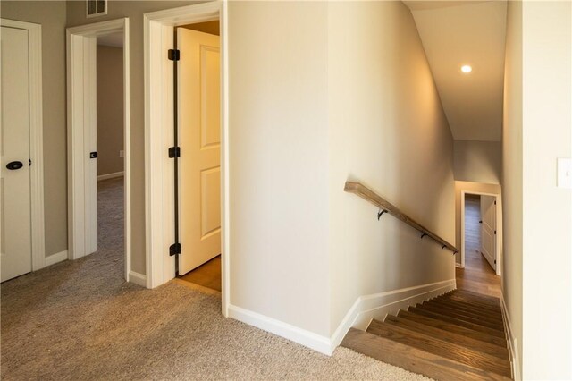 staircase featuring carpet