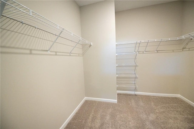 walk in closet with carpet flooring