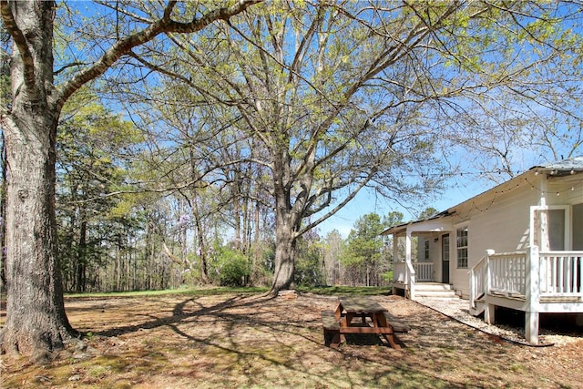 view of yard featuring a deck