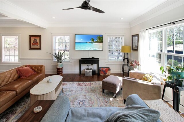living room with a ceiling fan, a wainscoted wall, crown molding, and wood finished floors