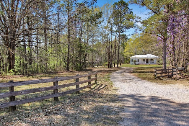 view of road featuring driveway and a view of trees