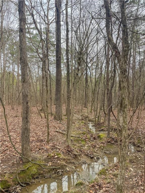 167 Cox St, Rainbow City, AL 35906 - photo 11