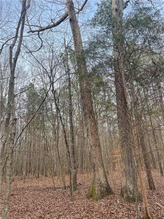 167 Cox St, Rainbow City, AL 35906 - photo 3