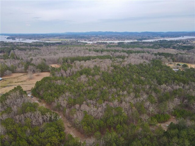 167 Cox St, Rainbow City, AL 35906 - photo 5