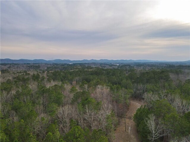 167 Cox St, Rainbow City, AL 35906 - photo 4
