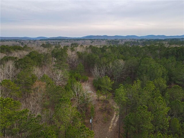 167 Cox St, Rainbow City, AL 35906 - photo 9