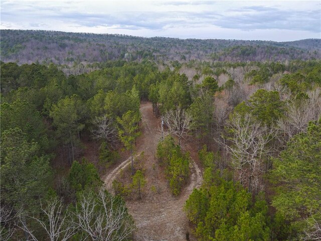 167 Cox St, Rainbow City, AL 35906 - photo 7