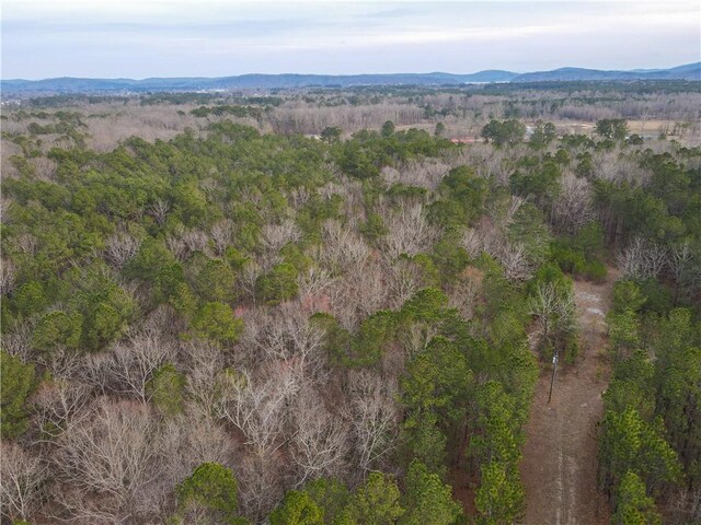 167 Cox St, Rainbow City, AL 35906 - photo 10