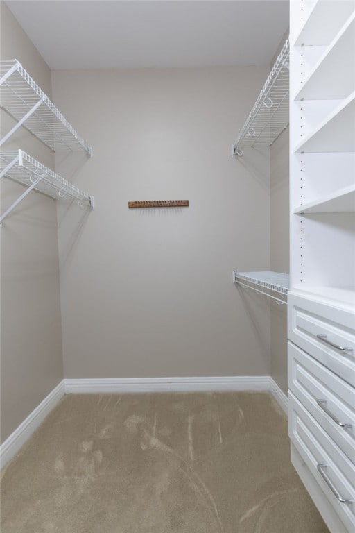 1761 Woodley Rd, Auburn, AL 36830 - spacious closet with carpet