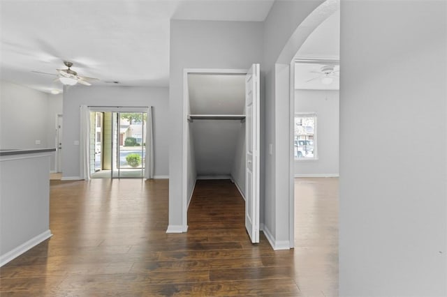 hallway featuring dark hardwood / wood-style flooring