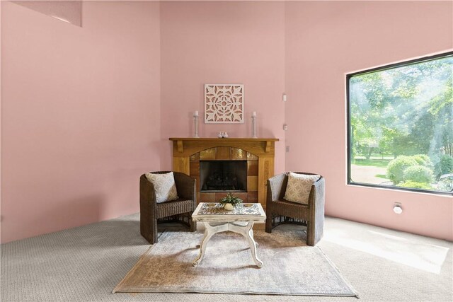 1115 Willow Run, Opelika, AL 36801 - living area with carpet flooring and a tiled fireplace