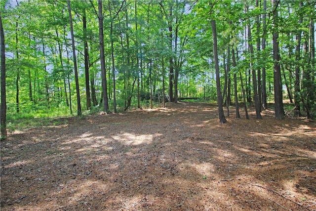 2904 Lone Eagle Ln, Opelika, AL 36801 - view of local wilderness