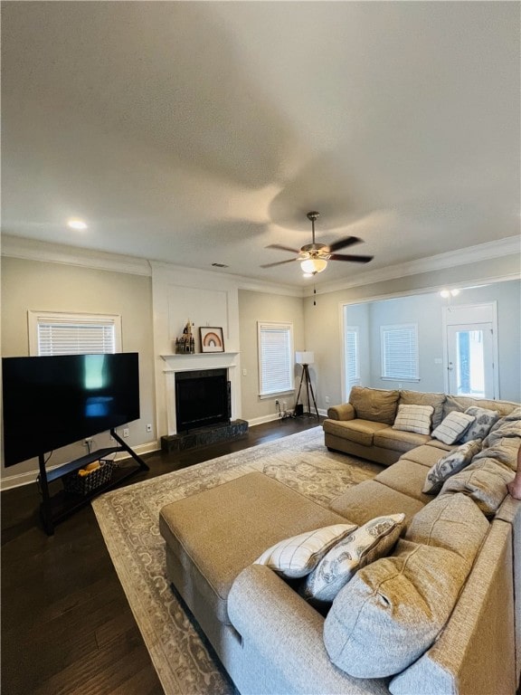 living room with crown molding, ceiling fan, and dark wood-type flooring