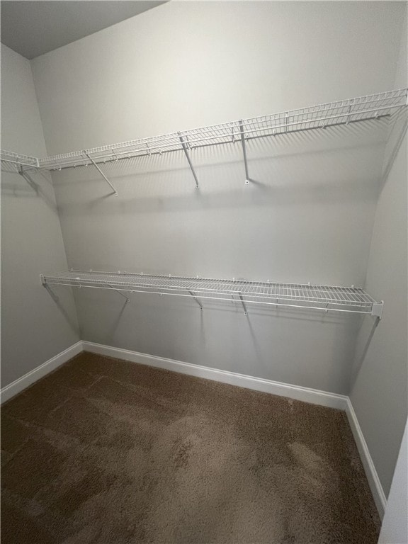 spacious closet with dark colored carpet