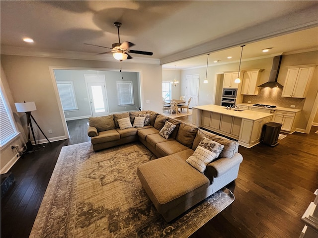 living room featuring crown molding, dark wood-type flooring, and ceiling fan with notable chandelier