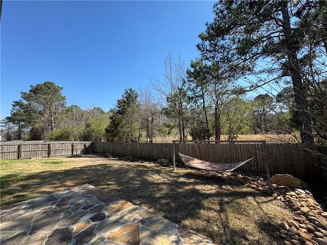view of yard featuring a patio and a fenced backyard
