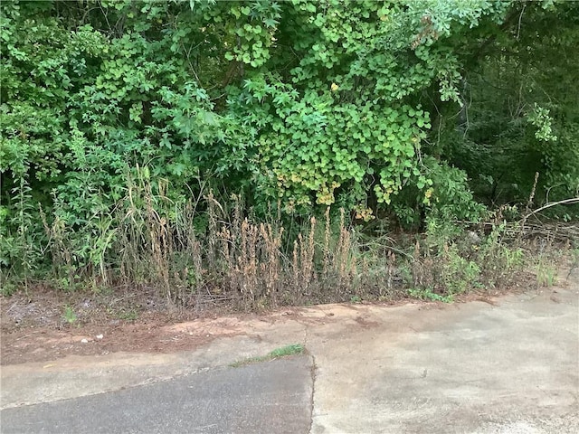 0 US Highway 431, Opelika, AL 36801 - photo 4
