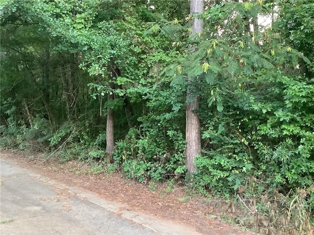 0 US Highway 431, Opelika, AL 36801 - photo 5